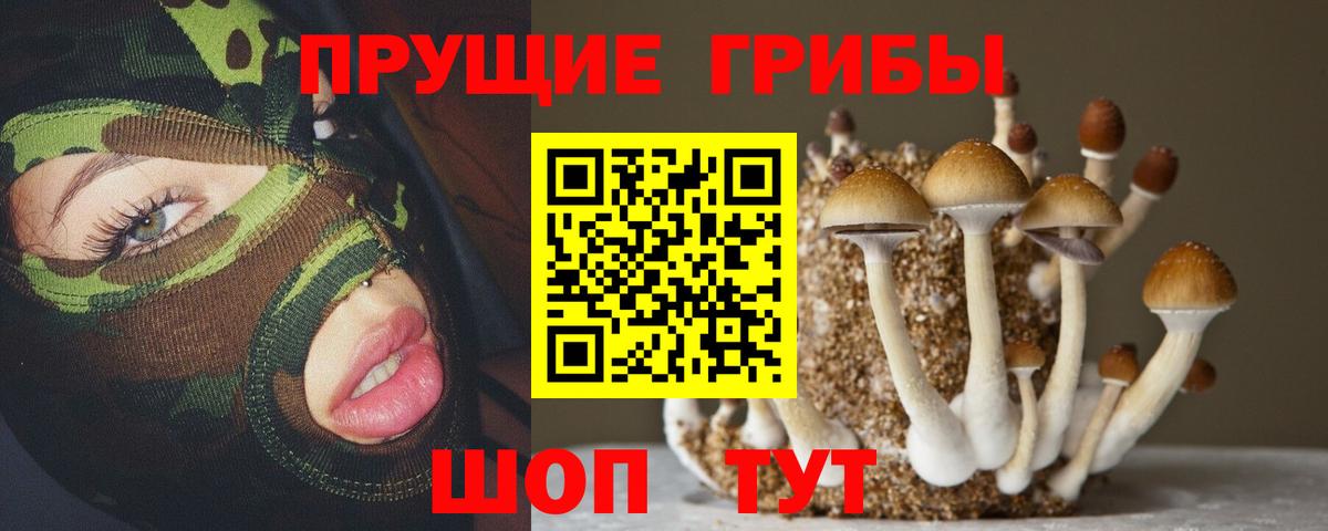 Псилоцибиновые грибы ЛСД Спасск-Дальний